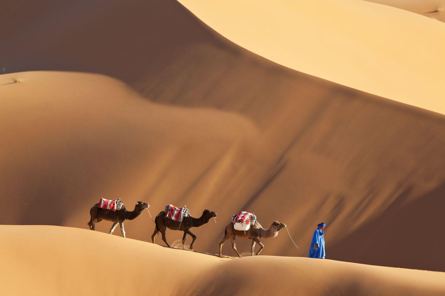 Merzouga Luxury Traditional Camp 외부 사진